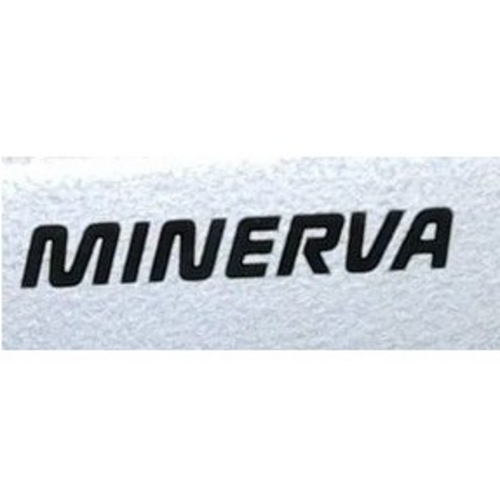 Рамка игловодителя в сборе для Minerva 811